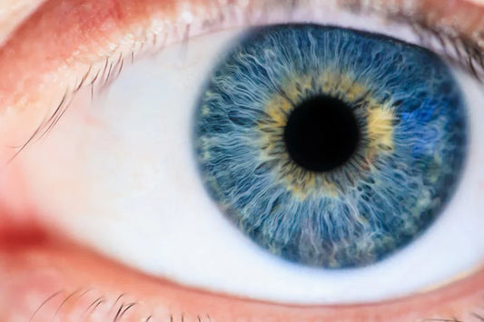 What is an Auto-Refractometer? A Key Instrument in Ophthalmic Diagnosis